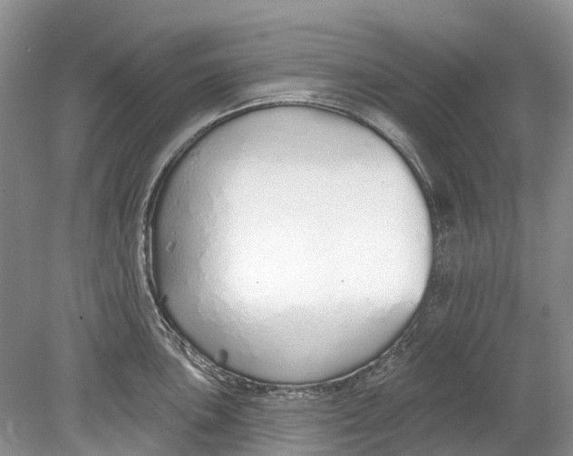 X0000078831051200612041808