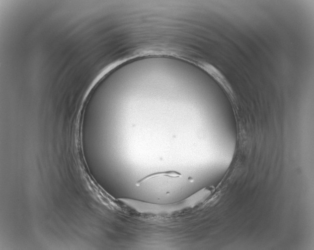 X0000078831052200612041808