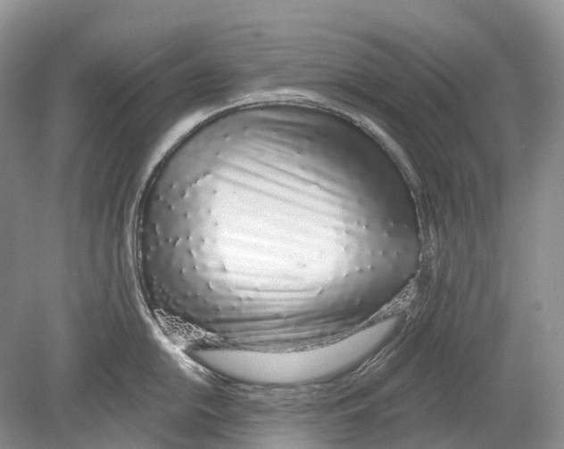 X0000078831054200612041808