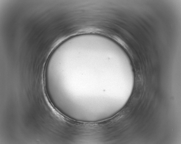 X0000078831055200612041808