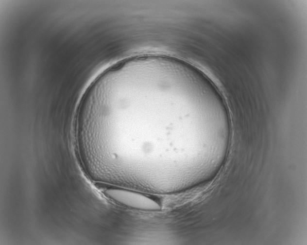 X0000078831056200612041808