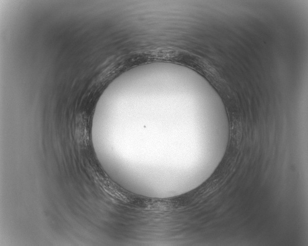 X0000078831058200612041807