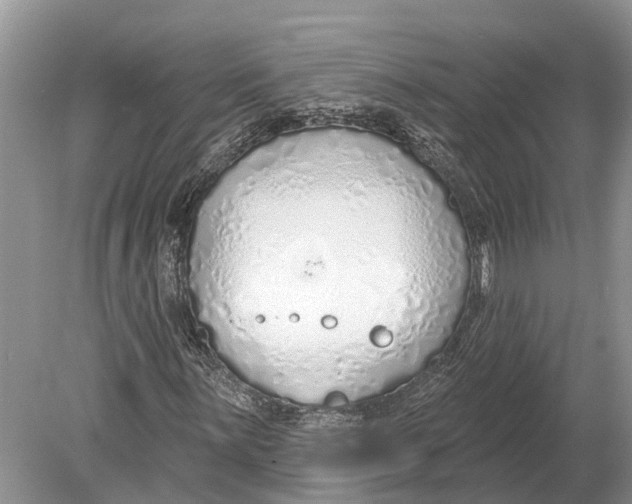 X0000078831059200612041807