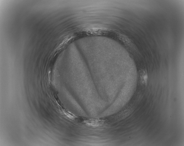 X0000078831060200612041807