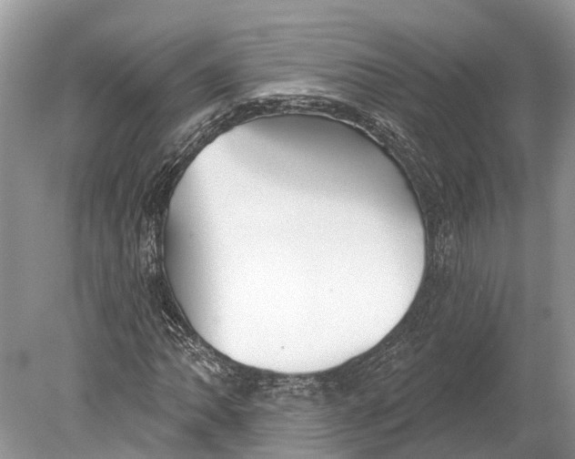 X0000078831062200612041807