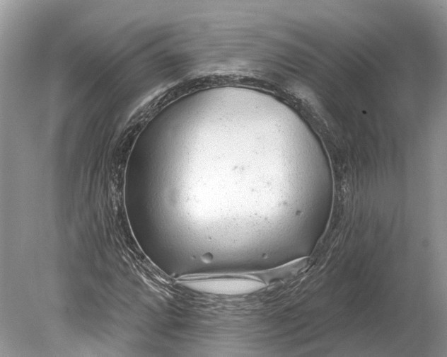 X0000078831064200612041807