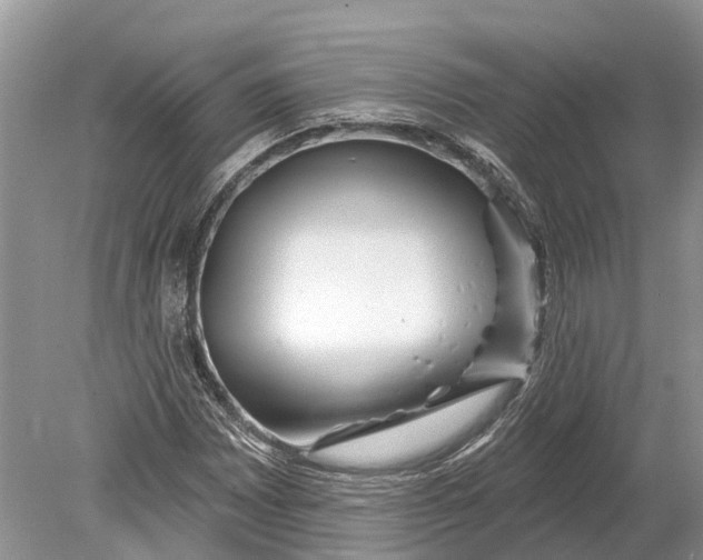 X0000078831065200612041807