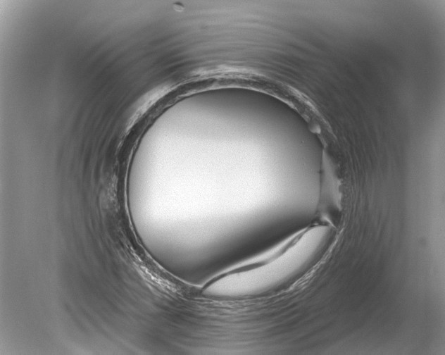 X0000078831066200612041807