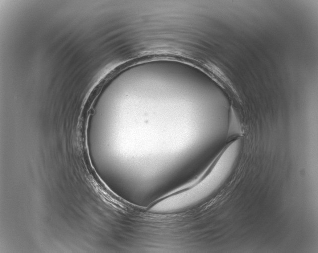 X0000078831068200612041807