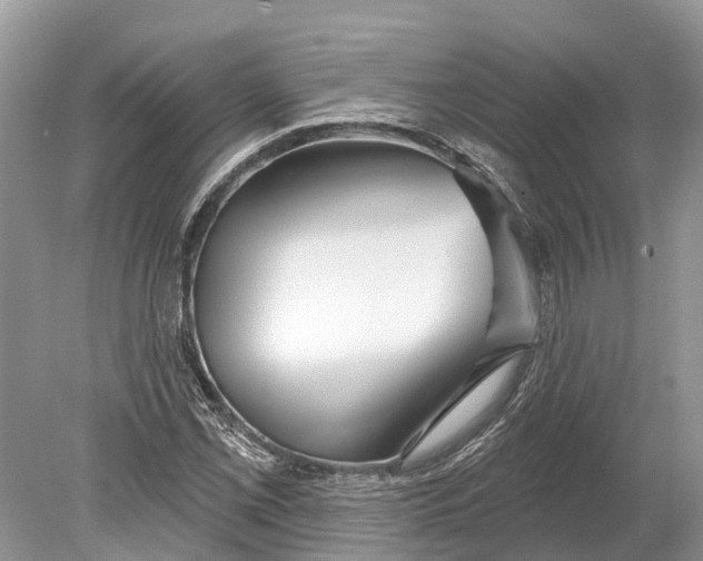 X0000078831069200612041807