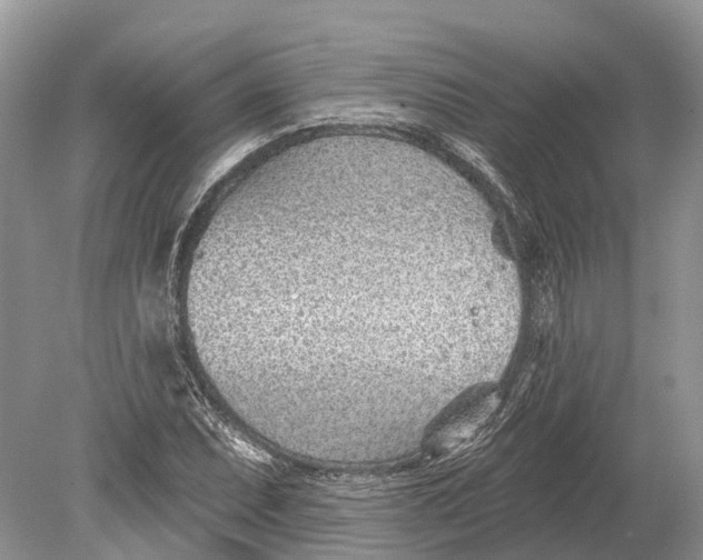 X0000078831071200612041807