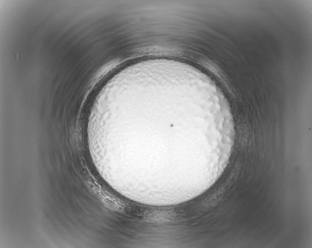 X0000078831074200612041807