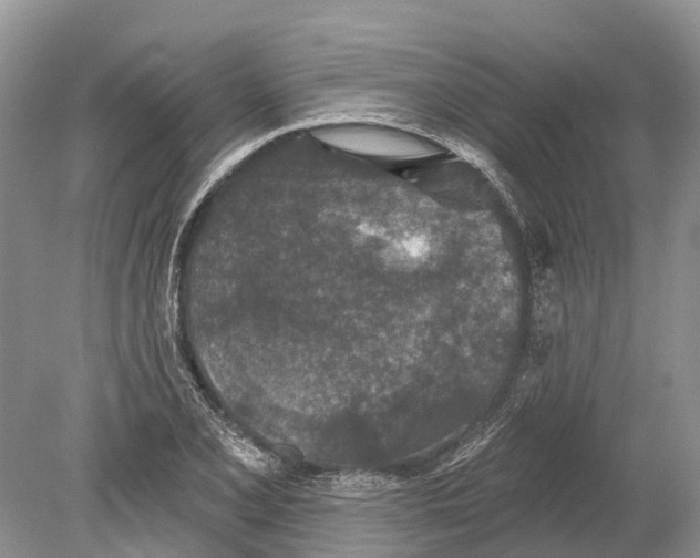 X0000078831077200612041807