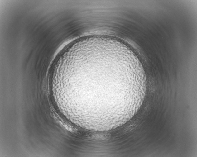 X0000078831078200612041807