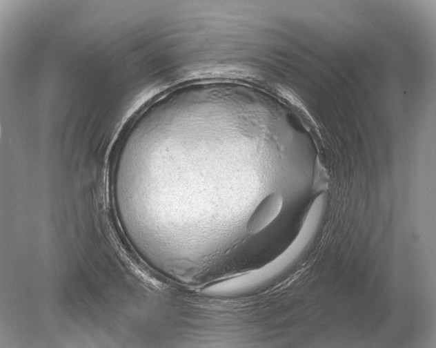 X0000078831079200612041807