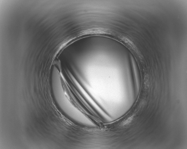 X0000078831081200612041807