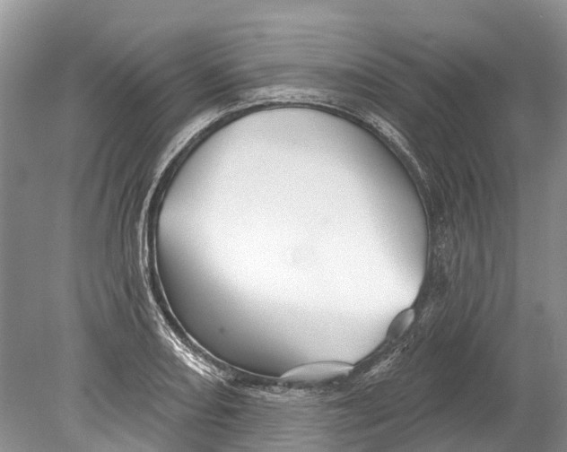 X0000078831082200612041807