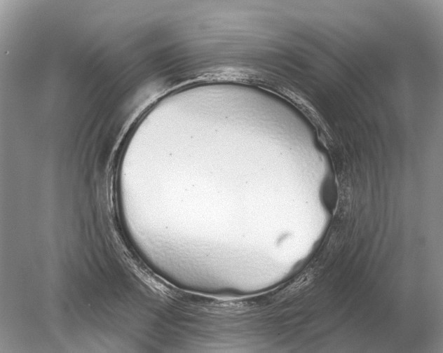 X0000078831083200612041807