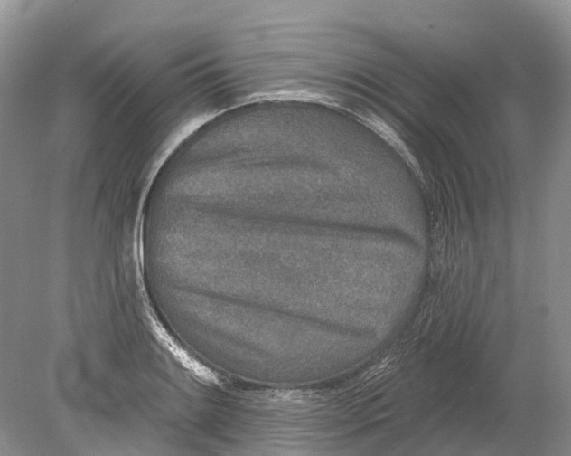 X0000078831084200612041807