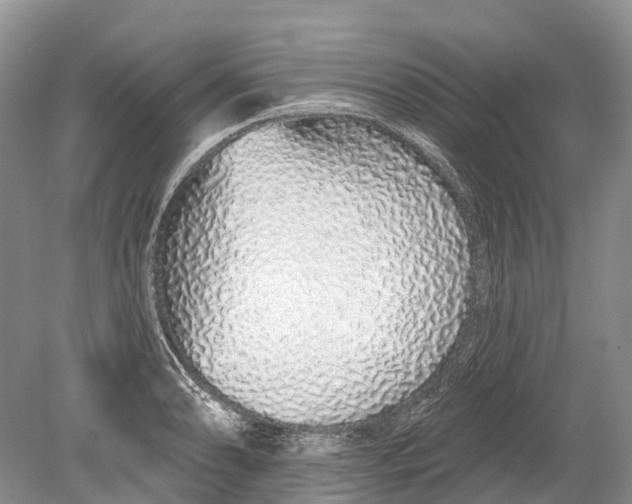 X0000078831086200612041807