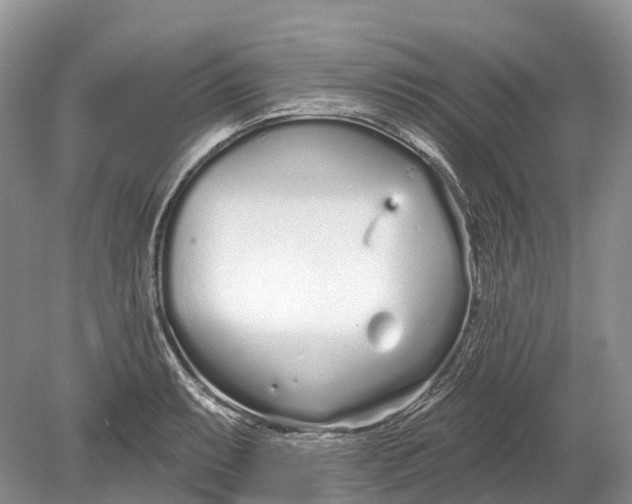 X0000078831087200612041807