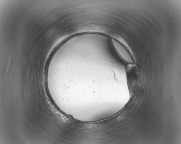 X0000078831088200612041807