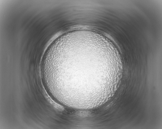 X0000078831090200612041807