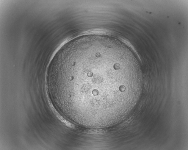 X0000078831091200612041807