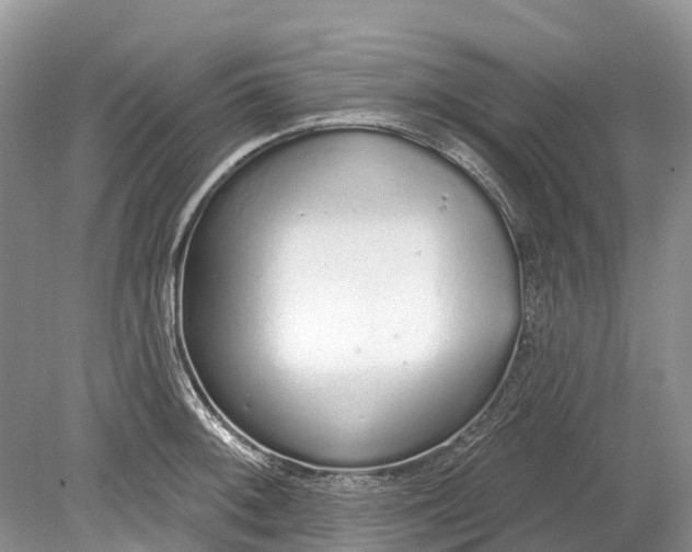 X0000078831092200612041807