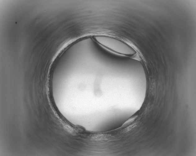 X0000078831093200612041807