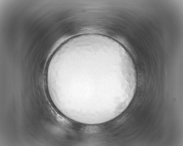 X0000078831094200612041807