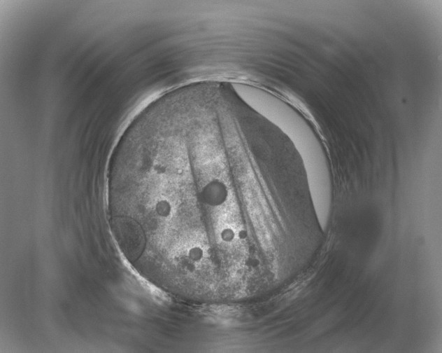 X0000078831095200612041807