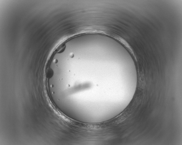 X0000078831096200612041807