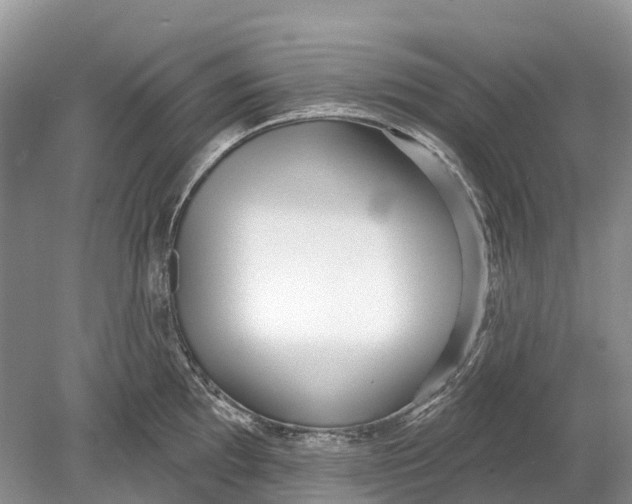 X0000078831097200612041807