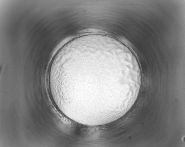 X0000078831098200612041807