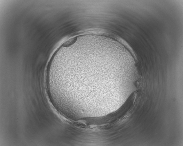 X0000078831099200612041807