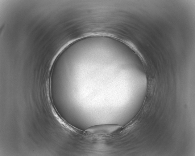 X0000078831100200612041807