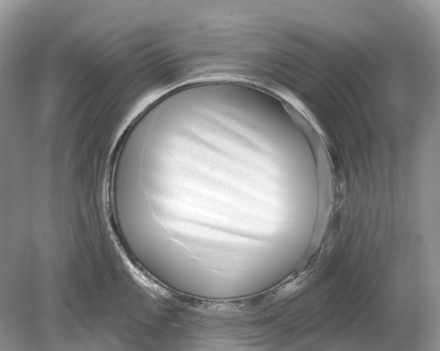 X0000078831101200612041807