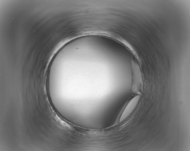 X0000078831102200612041807