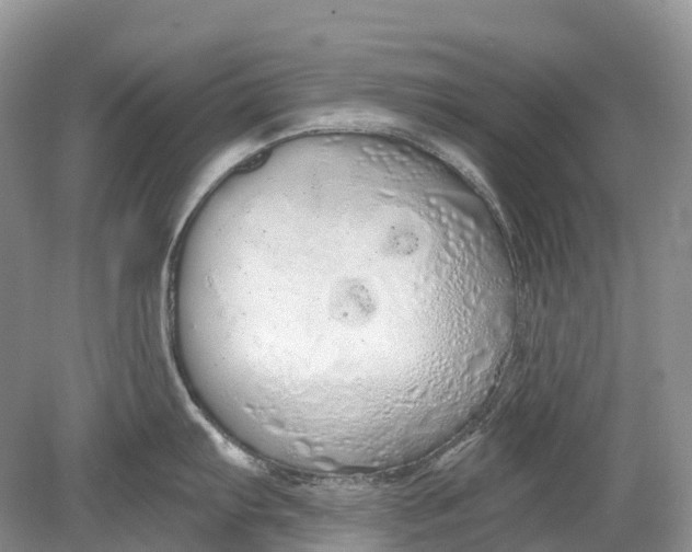 X0000078831103200612041806