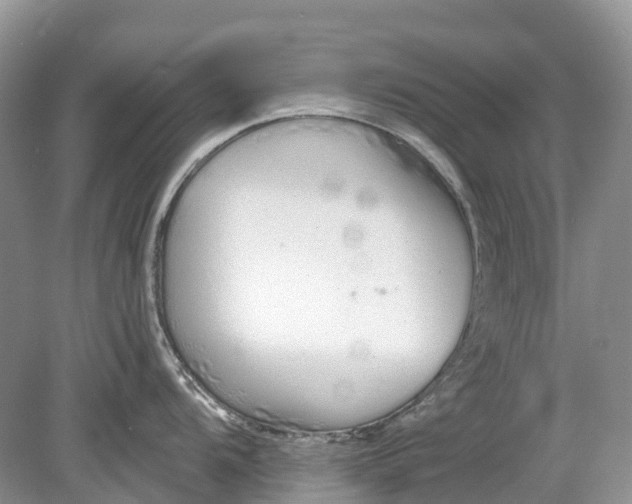 X0000078831104200612041806