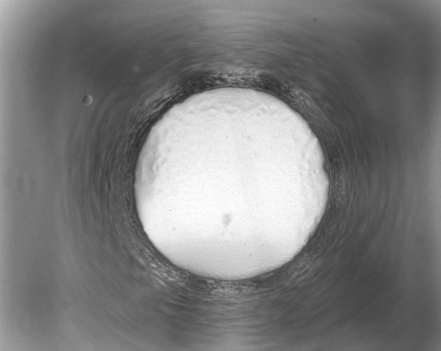 X0000078831105200612041806