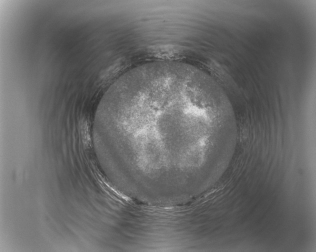 X0000078831106200612041806