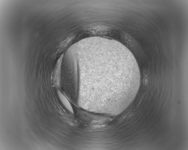 X0000078831108200612041806