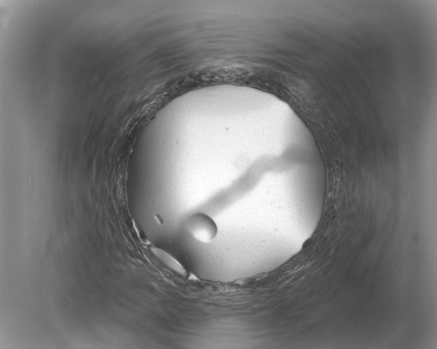 X0000078831109200612041806