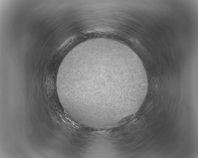 X0000078831110200612041806