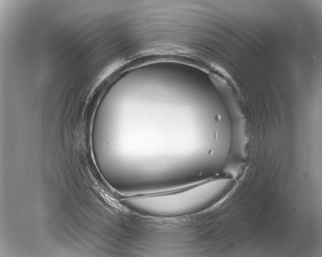 X0000078831114200612041806