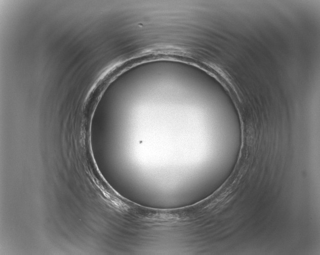 X0000078831115200612041806