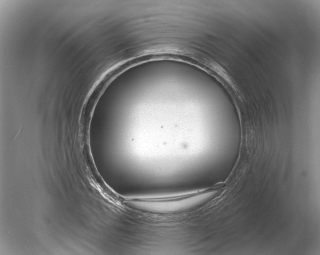 X0000078831116200612041806