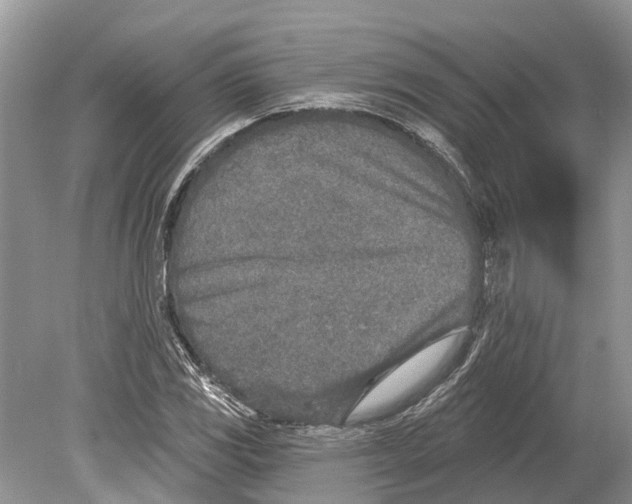 X0000078831117200612041806